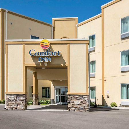 Comfort Inn Apalachin - Binghamton W Route 17 Εξωτερικό φωτογραφία