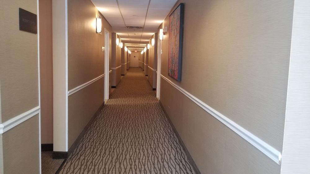 Comfort Inn Apalachin - Binghamton W Route 17 Εξωτερικό φωτογραφία