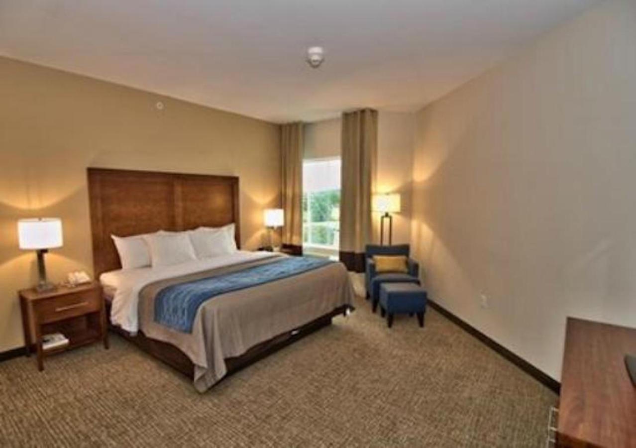 Comfort Inn Apalachin - Binghamton W Route 17 Εξωτερικό φωτογραφία