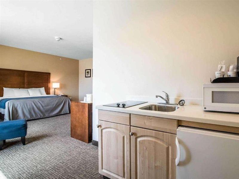 Comfort Inn Apalachin - Binghamton W Route 17 Εξωτερικό φωτογραφία