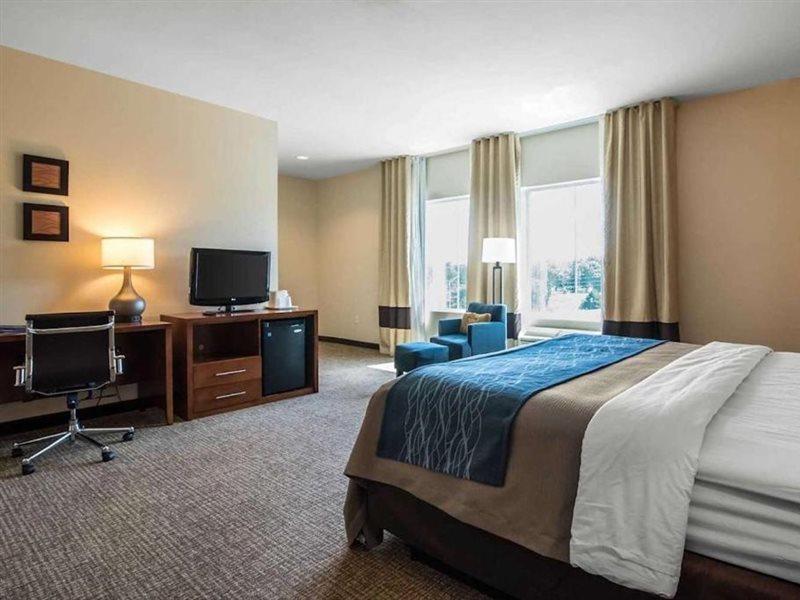 Comfort Inn Apalachin - Binghamton W Route 17 Εξωτερικό φωτογραφία