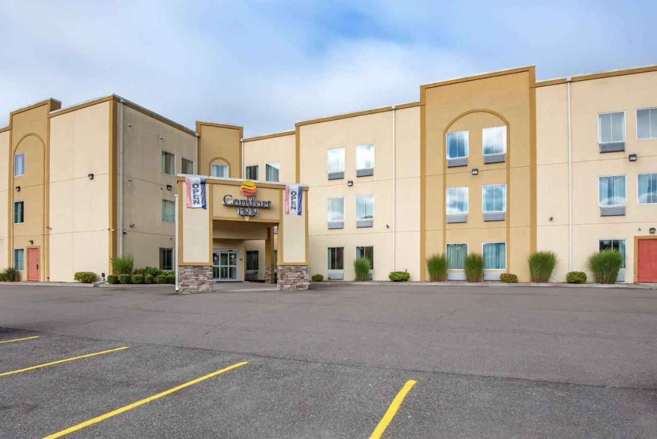 Comfort Inn Apalachin - Binghamton W Route 17 Εξωτερικό φωτογραφία
