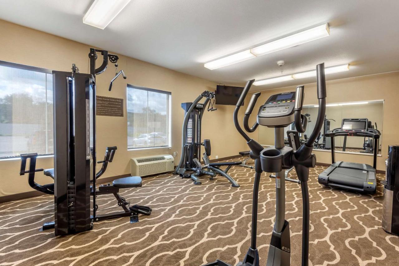 Comfort Inn Apalachin - Binghamton W Route 17 Εξωτερικό φωτογραφία