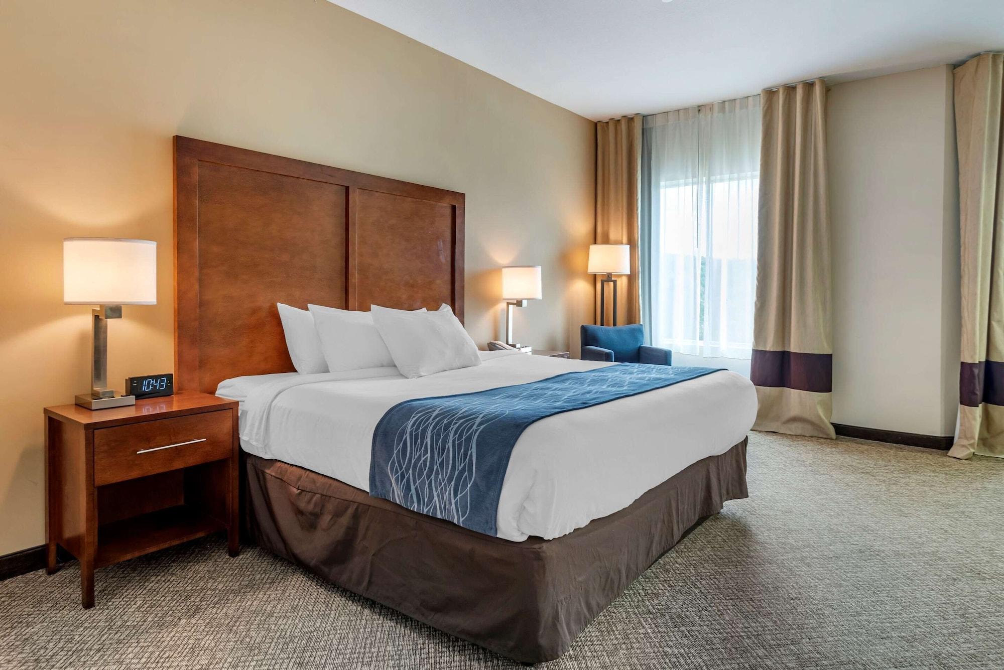 Comfort Inn Apalachin - Binghamton W Route 17 Εξωτερικό φωτογραφία