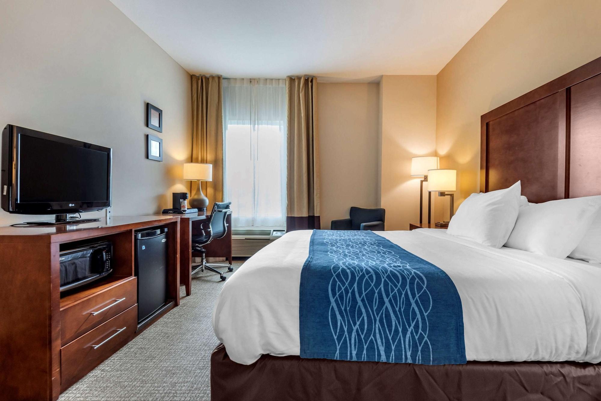 Comfort Inn Apalachin - Binghamton W Route 17 Εξωτερικό φωτογραφία