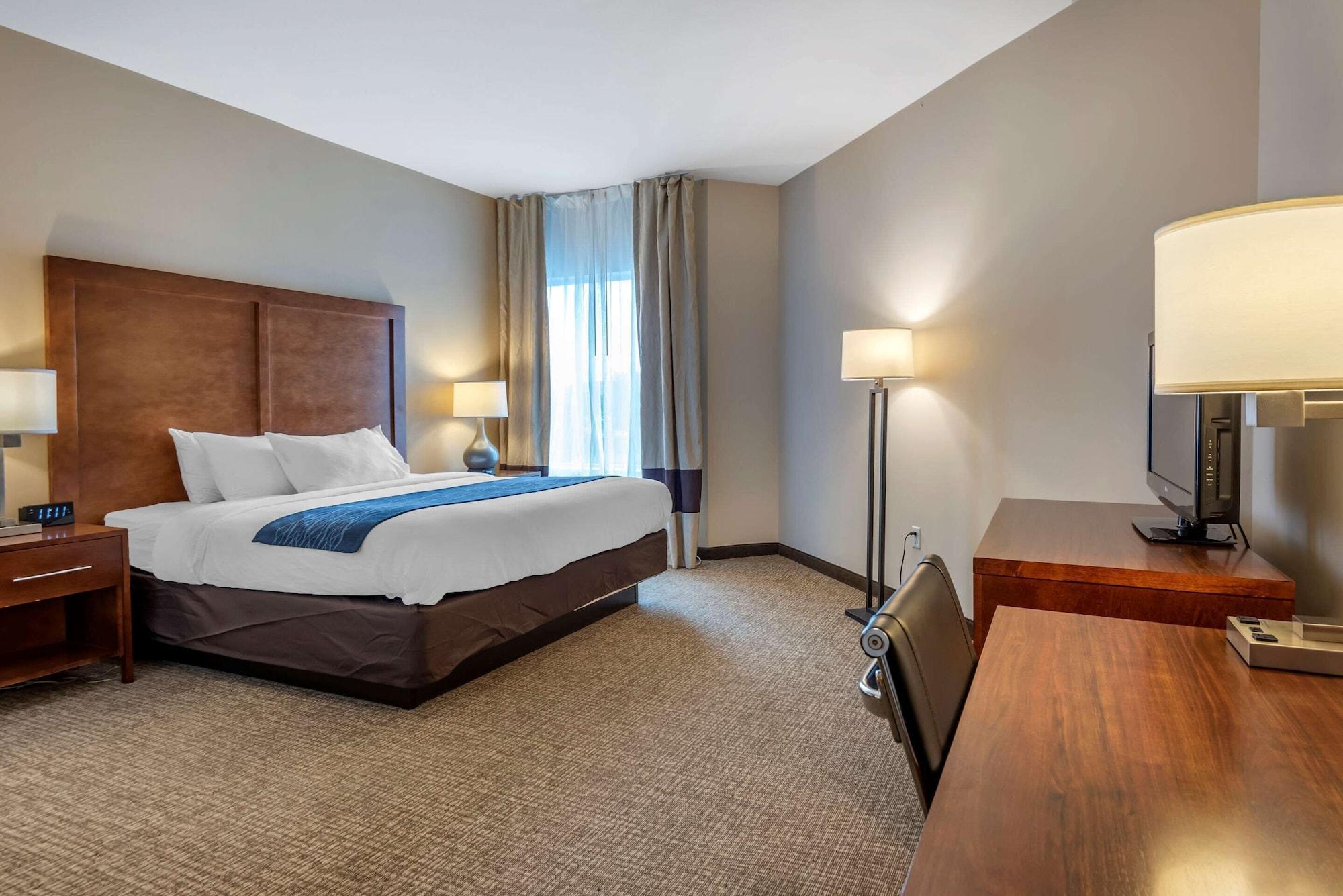 Comfort Inn Apalachin - Binghamton W Route 17 Εξωτερικό φωτογραφία