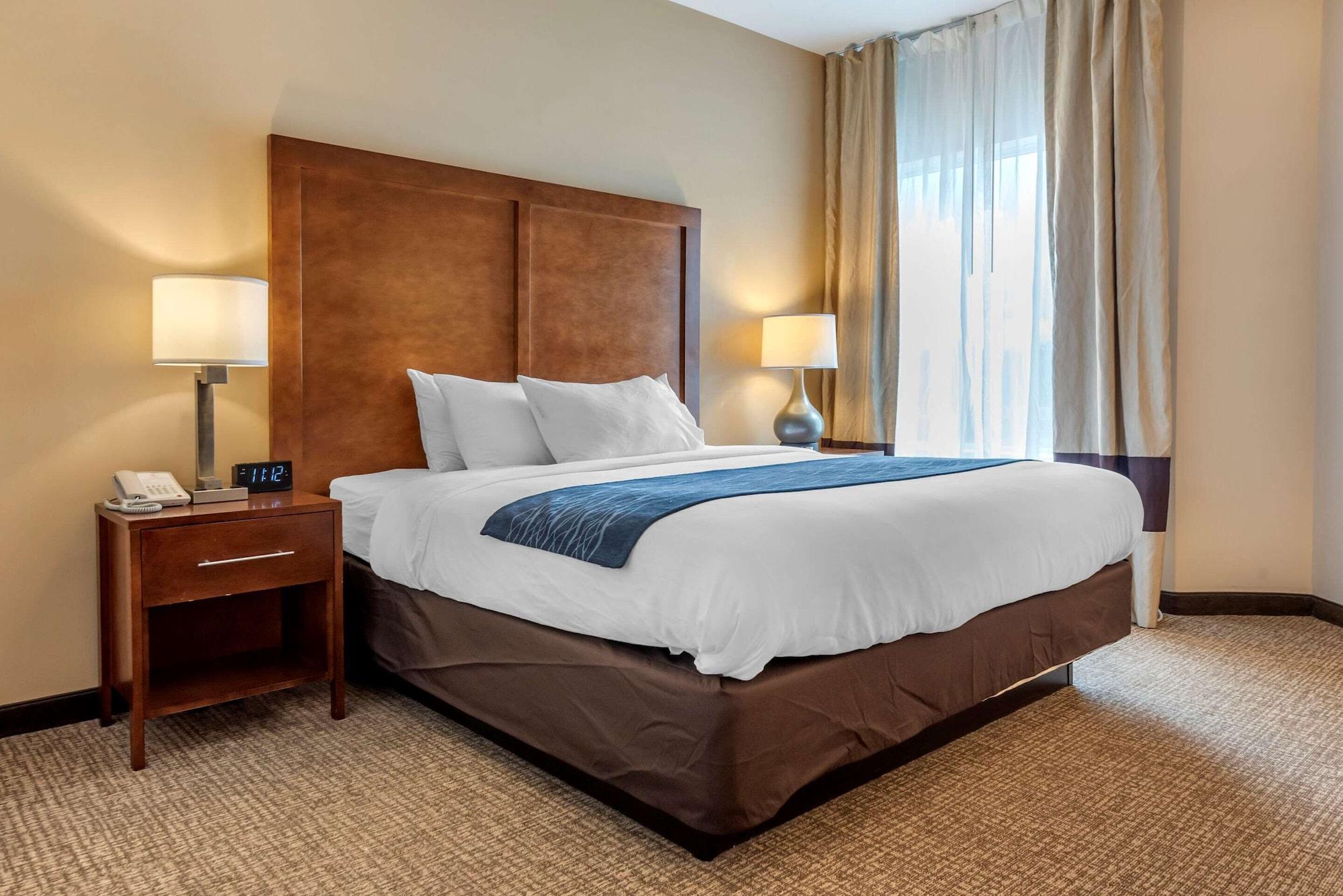 Comfort Inn Apalachin - Binghamton W Route 17 Εξωτερικό φωτογραφία