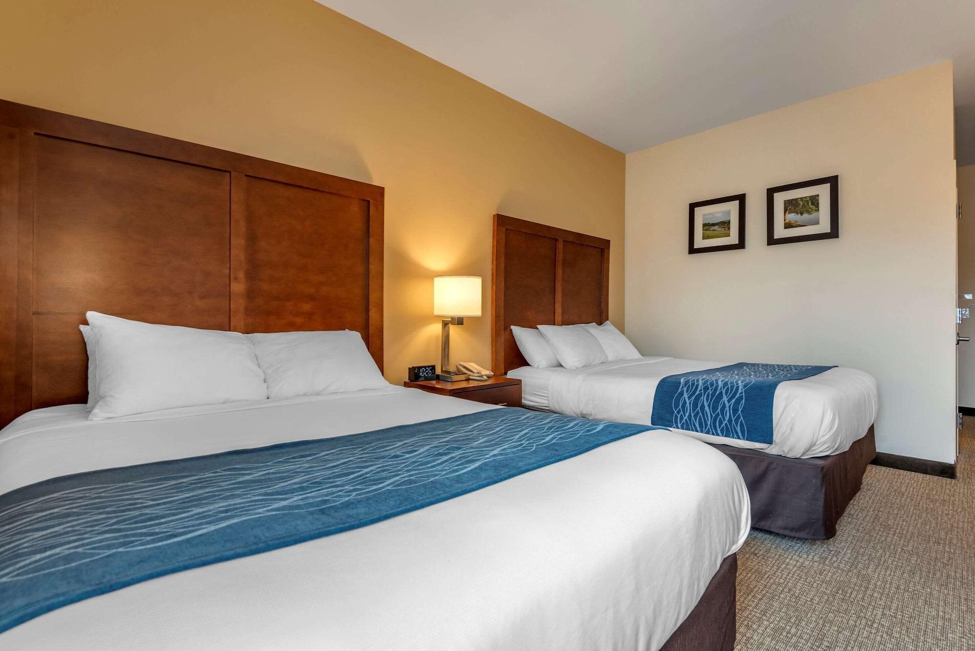 Comfort Inn Apalachin - Binghamton W Route 17 Εξωτερικό φωτογραφία