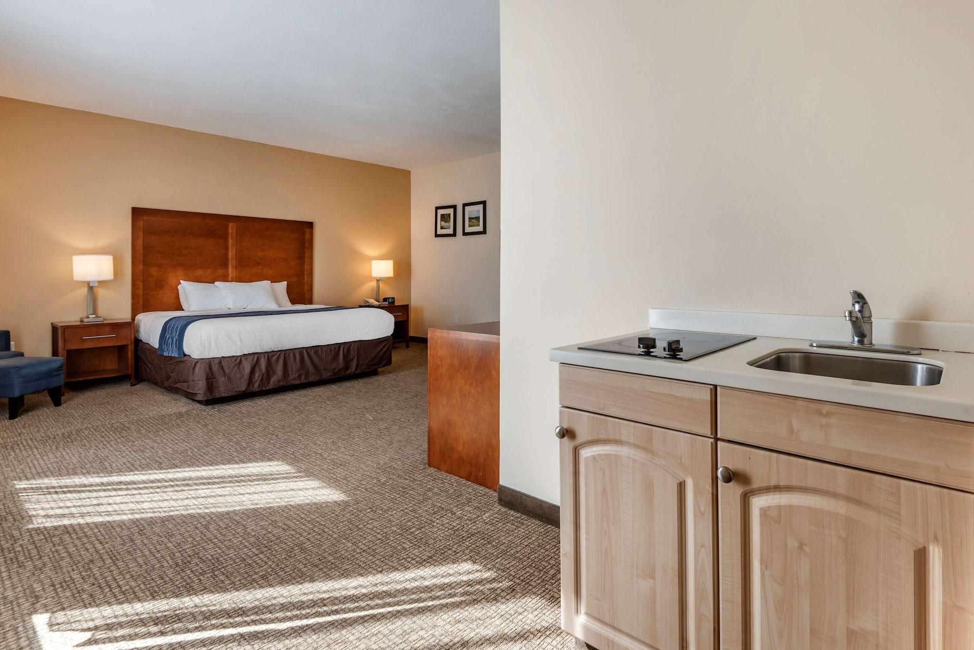 Comfort Inn Apalachin - Binghamton W Route 17 Εξωτερικό φωτογραφία