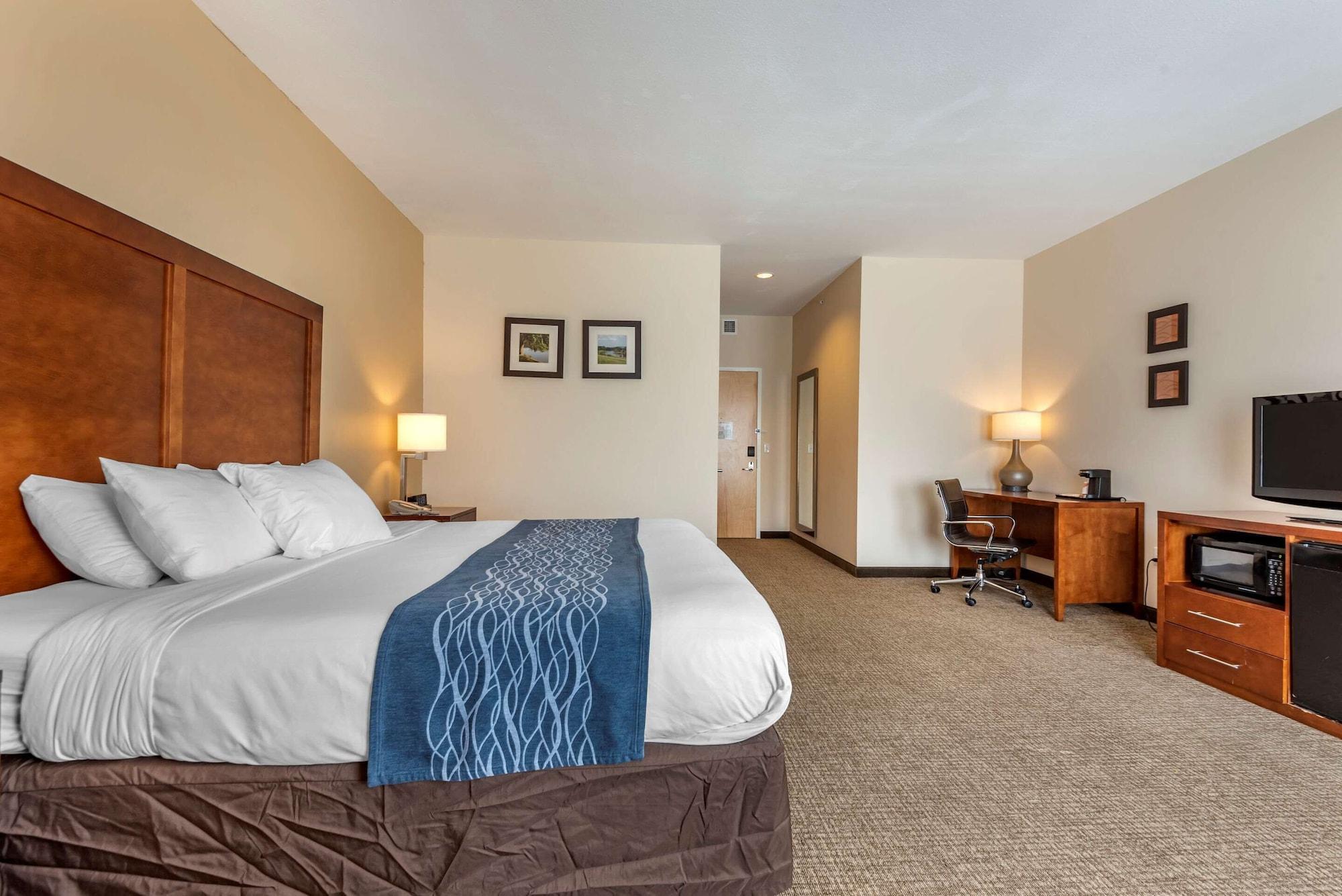 Comfort Inn Apalachin - Binghamton W Route 17 Εξωτερικό φωτογραφία