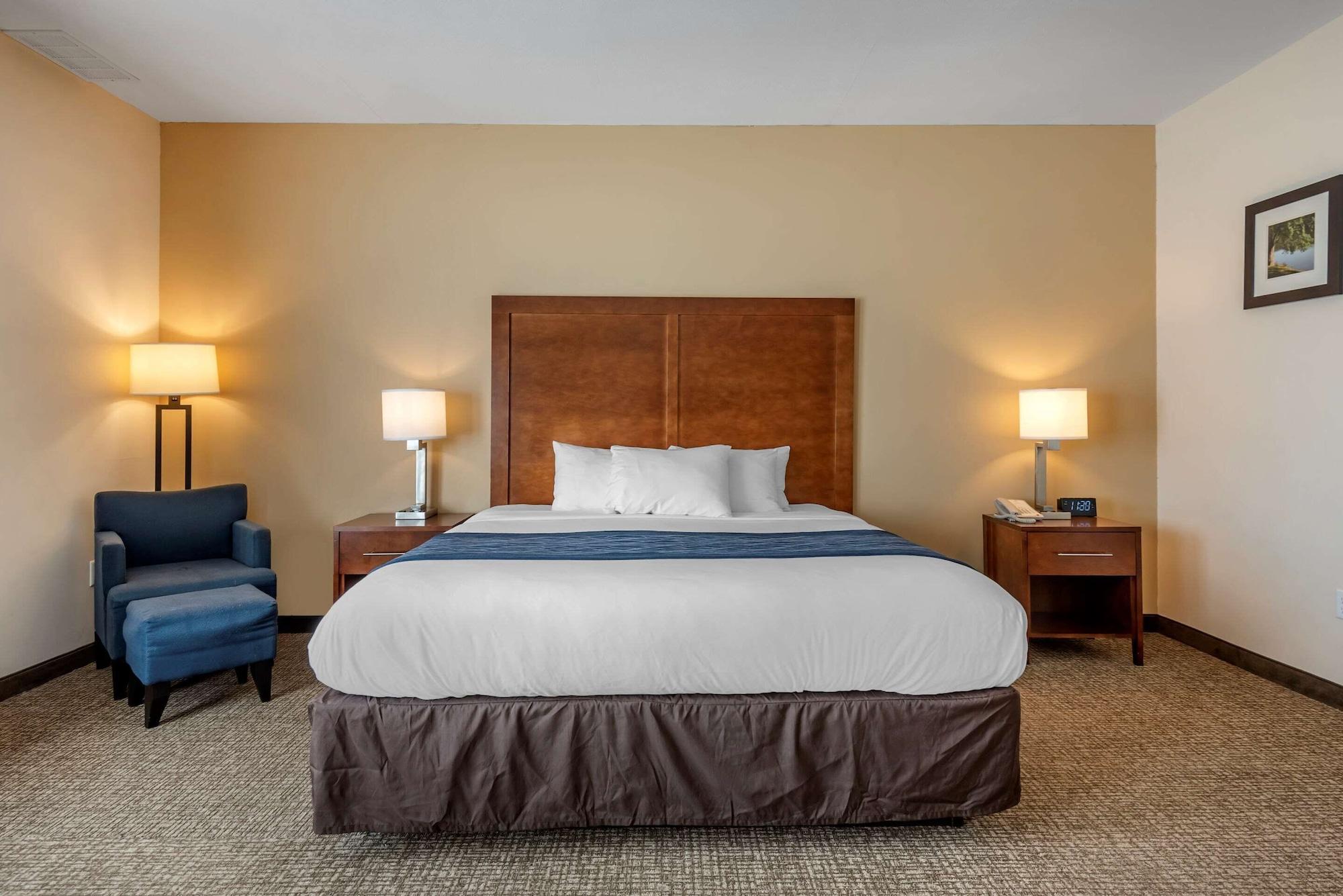 Comfort Inn Apalachin - Binghamton W Route 17 Εξωτερικό φωτογραφία