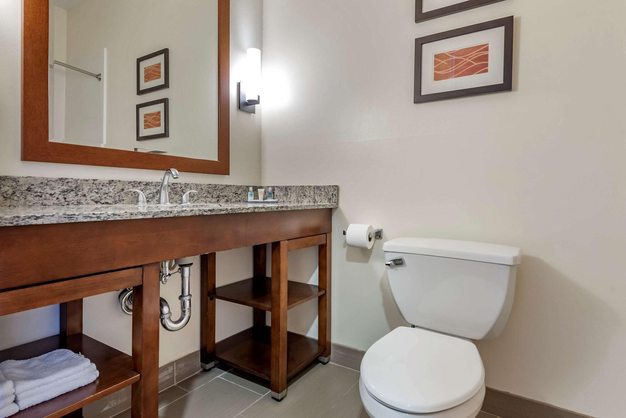 Comfort Inn Apalachin - Binghamton W Route 17 Εξωτερικό φωτογραφία