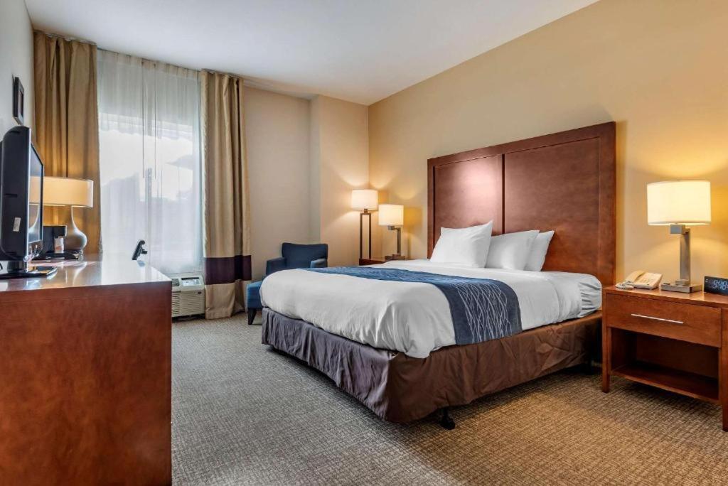 Comfort Inn Apalachin - Binghamton W Route 17 Εξωτερικό φωτογραφία