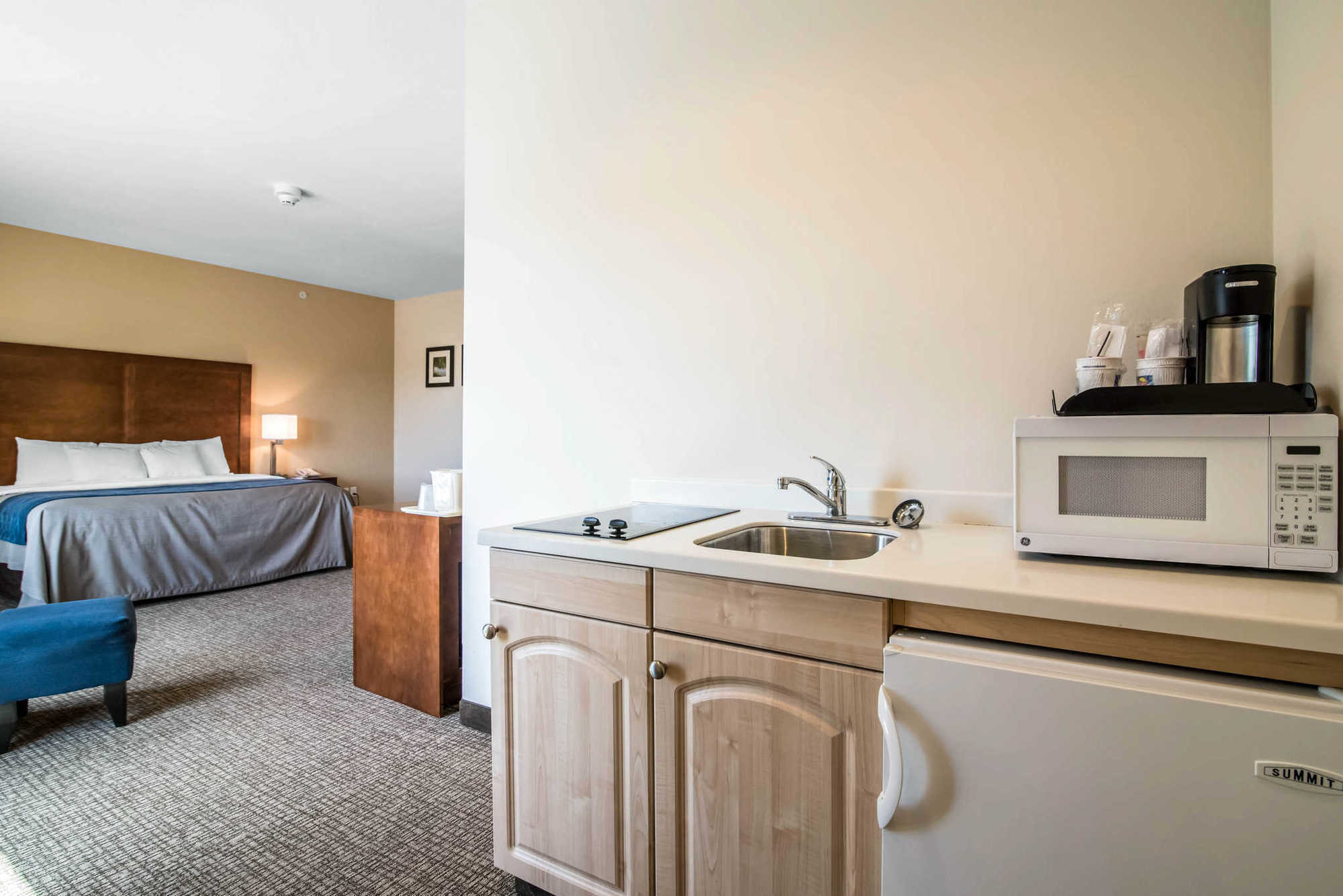 Comfort Inn Apalachin - Binghamton W Route 17 Δωμάτιο φωτογραφία